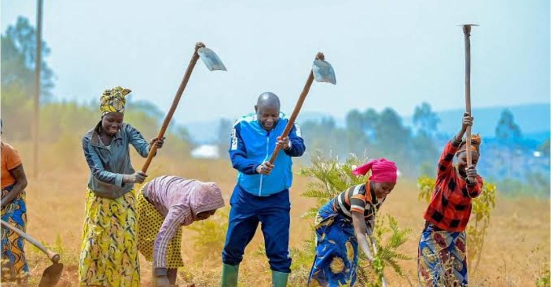 Community Programs 🌍